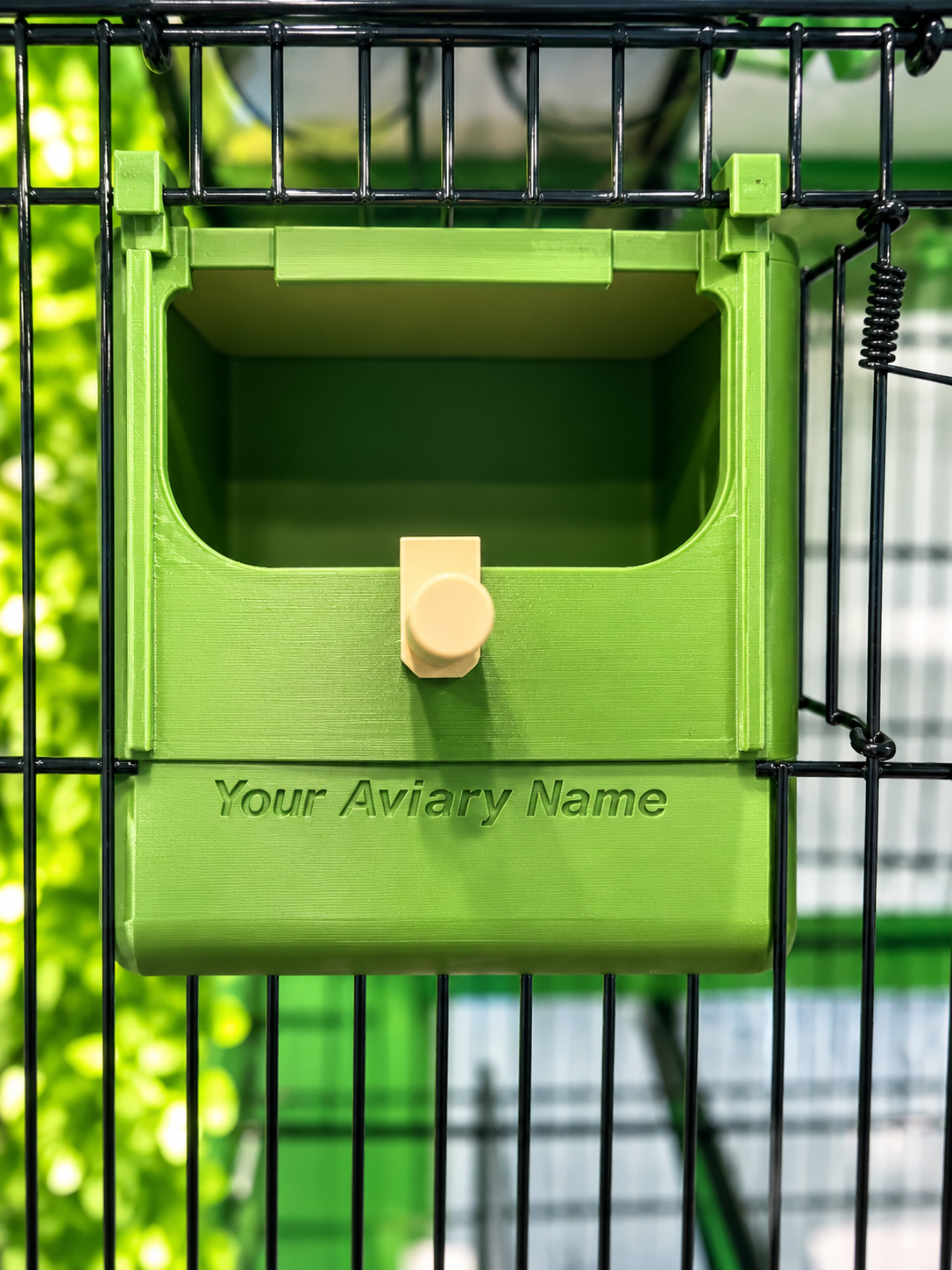 Finch Nest - Image 9