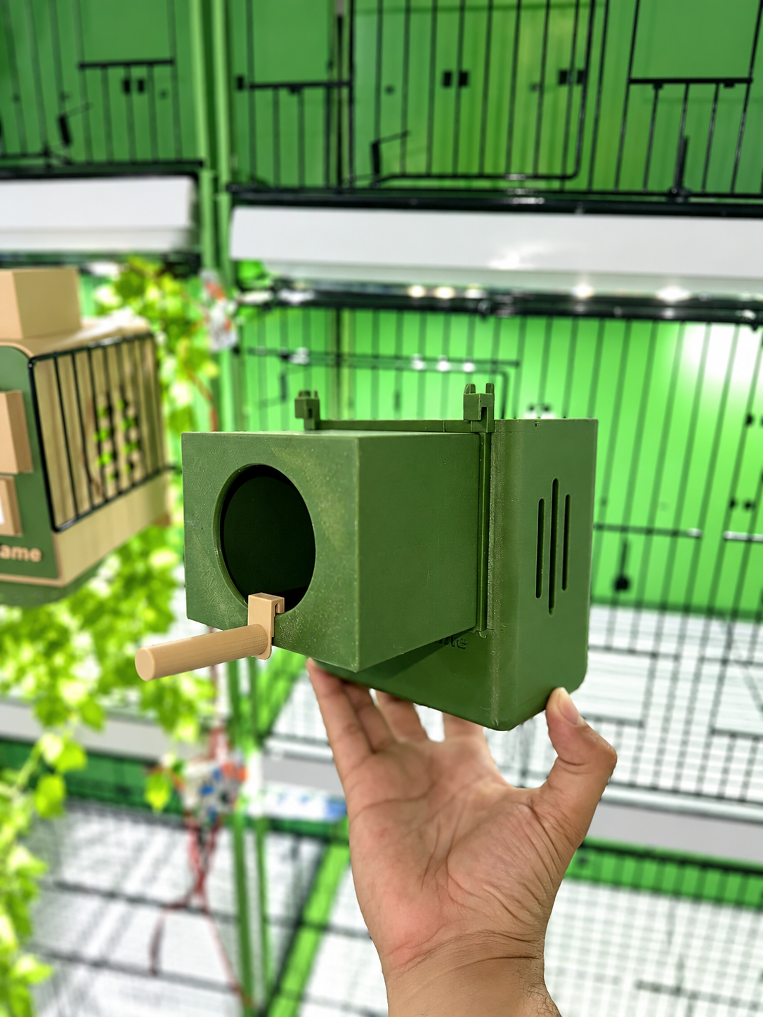 Finch Nest - Image 6