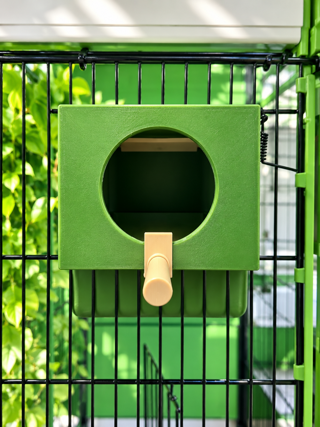 Finch Nest - Image 8